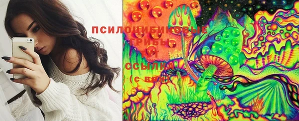 тгк Мегион