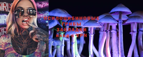 mdpv Михайловск