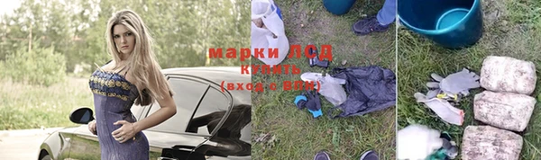 дживик Аркадак